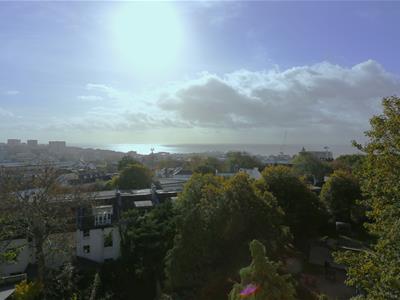Picture 7